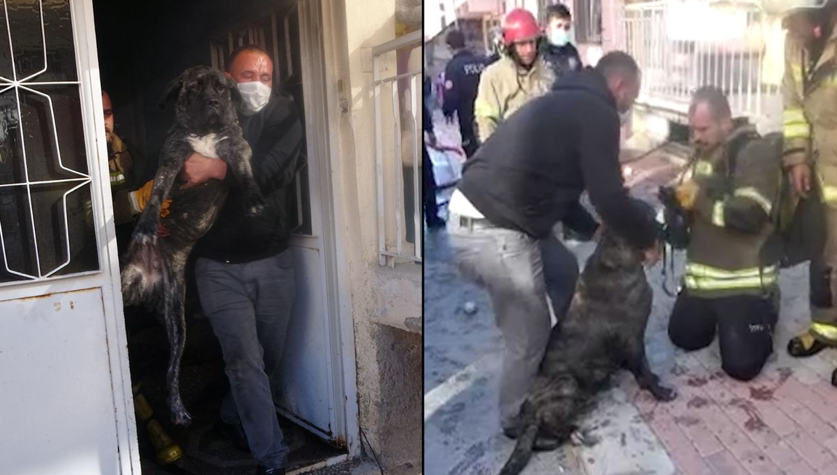 Köpeğini kurtarmak için dumanın içine daldı