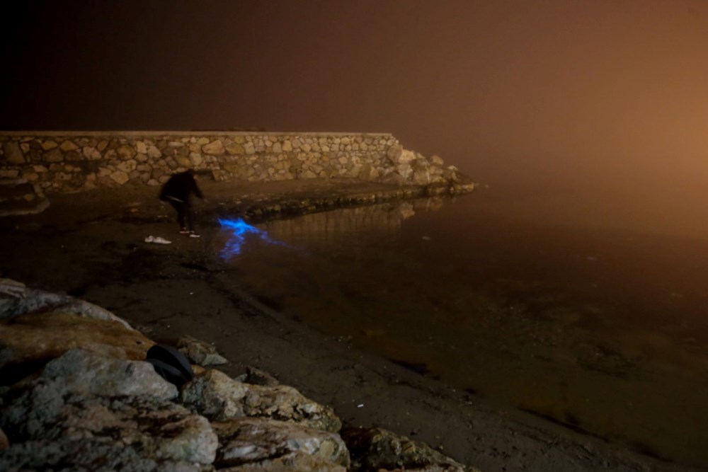 Bursa kıyılarında plankton patlaması: Deniz suyu renk değiştirdi - 12