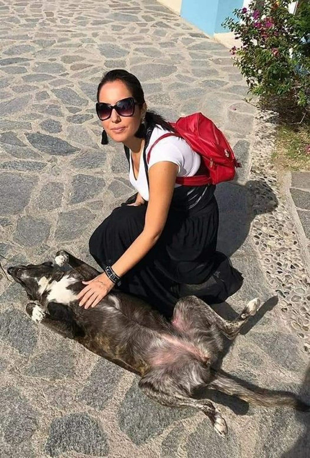 İzmir’i toplu ulaşımla gezen köpek Sam bulundu - 12
