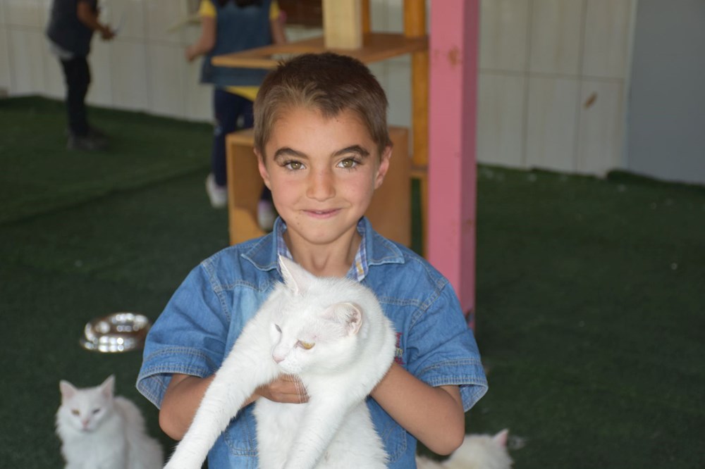 Van kedileri için koruma projesi: Yavru sayıları her yıl artacak - 6