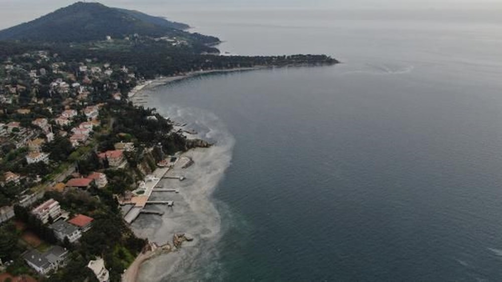 Büyükada'yı 'salya' sardı - 11