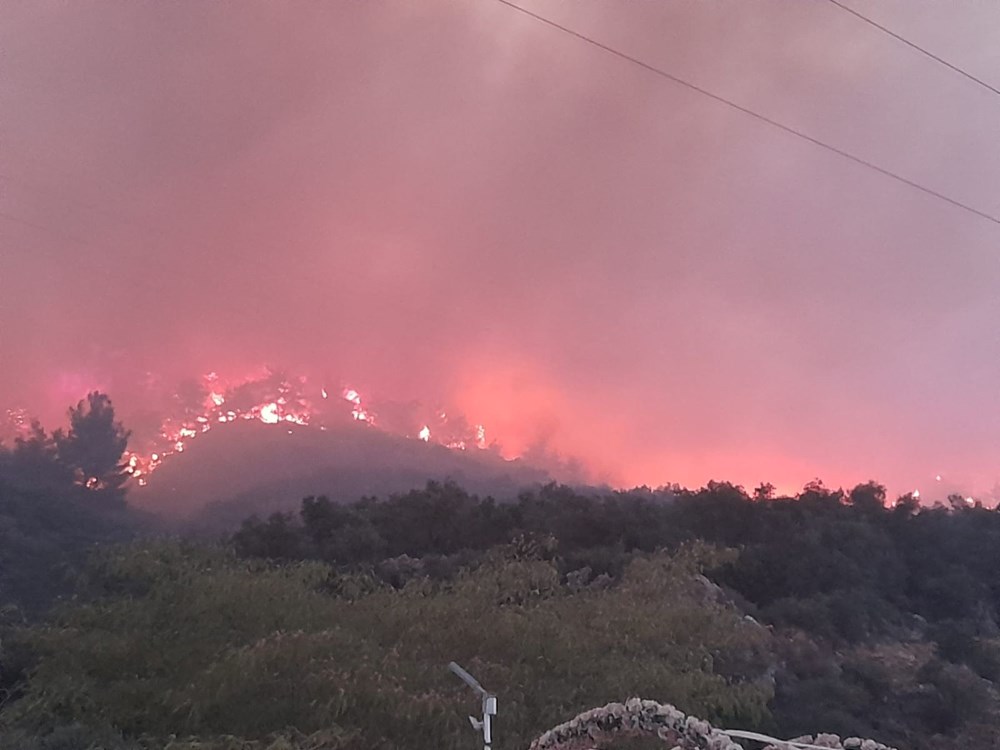 Aydın Söke'de orman yangını - 5