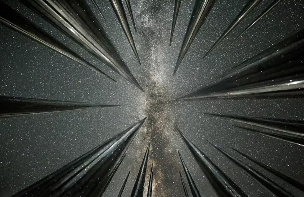 Samanyolu'nun aydınlattığı lavanta tarlalarından kuzey ışıklarına: Yılın Astronomi Fotoğrafçısı 2021'in adayları açıklandı - 17