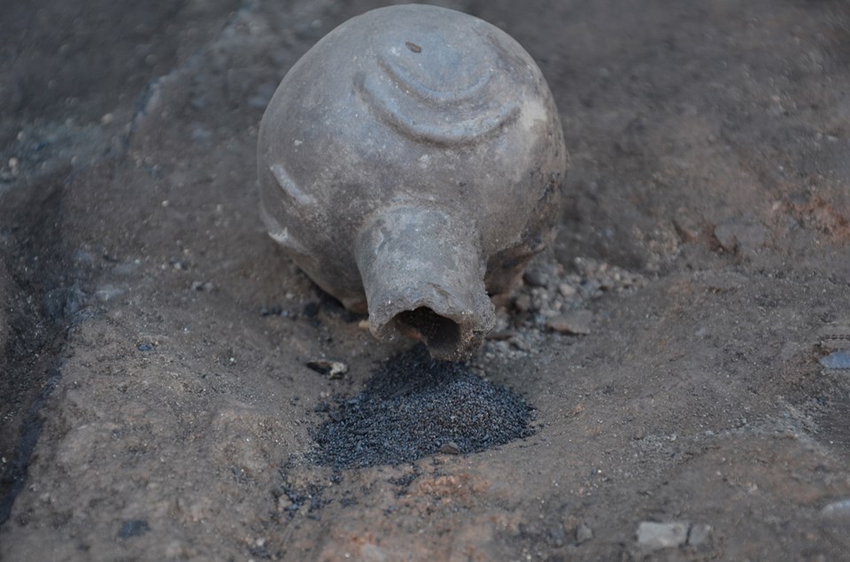 Seyitömer Höyüğü'nde haşhaş ve nohut taneleri bulundu - 2