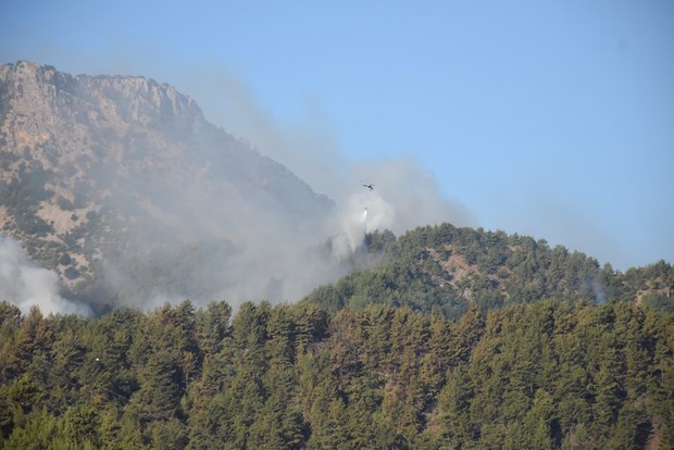 5 İLDE ALEVLERLE MÜCADELE 36 EQdNmu1iD0Orfgham95l w