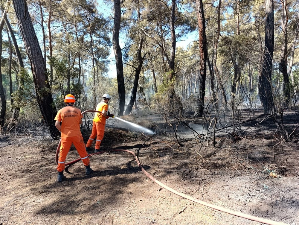 Yedi şehirde orman yangını: Sakarya'daki yangın büyüdü, Bilecik'e sıçradı - 16