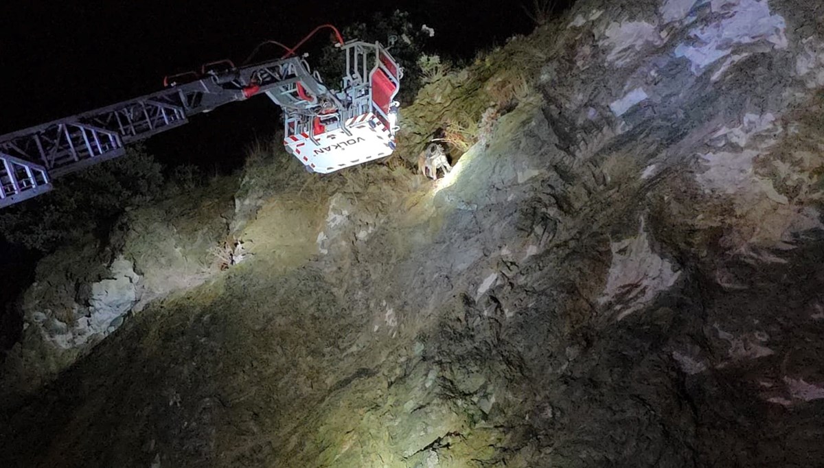 Mahsur kalan köpek ekiplerce kurtarıldı