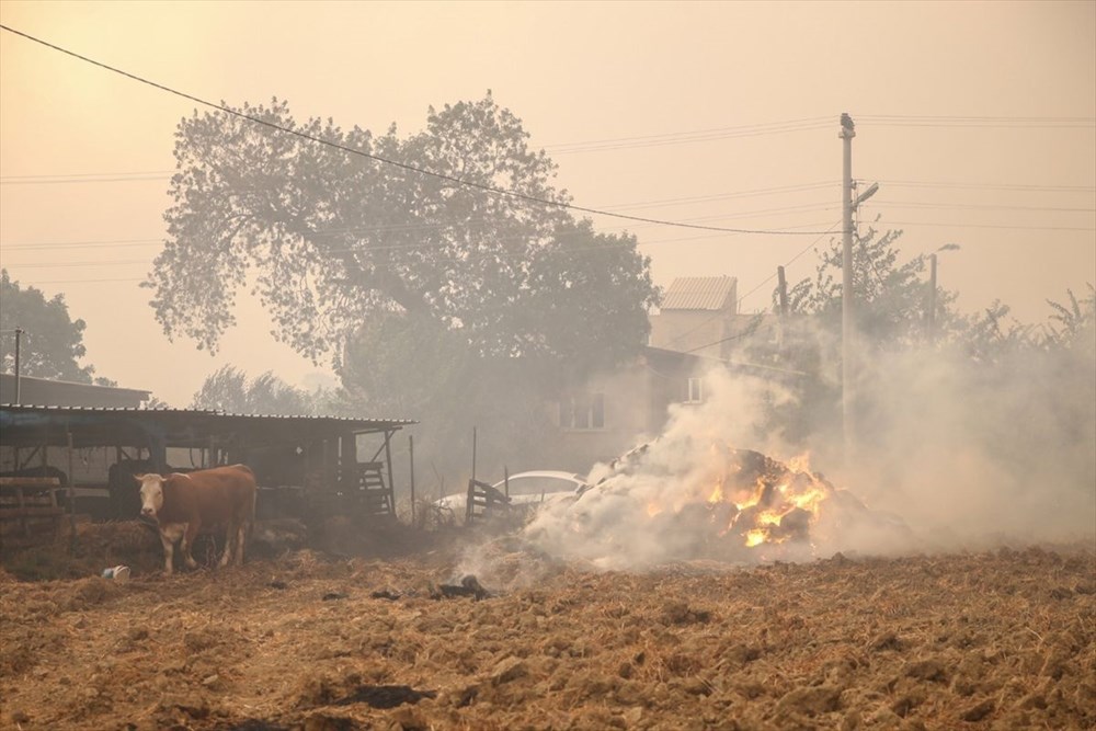 Antalya Manavgat'ta fekaletin boyutu gün ağarınca ortaya çıktı - 3