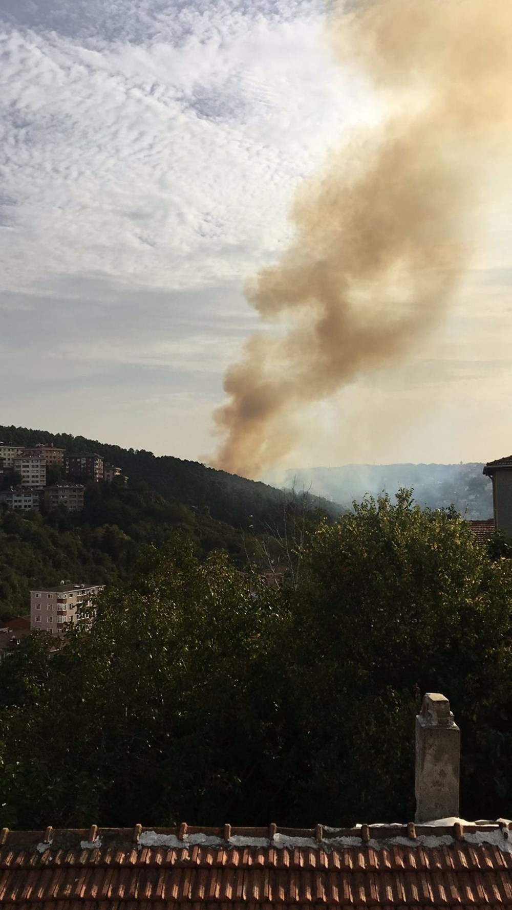 Son Dakika: Anadolu Hisarı'nda orman yangını - 2