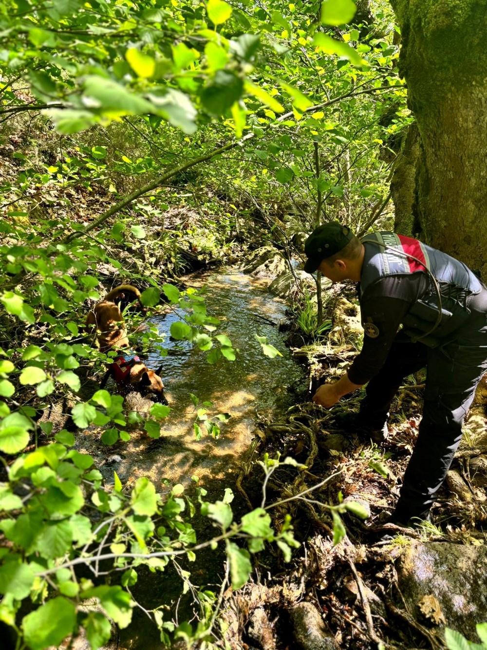 Alan taraması 5'inci günde de devam ediyor: Korhan Berzeg’in kafatası ile ayak kemikleri aranıyor - 22