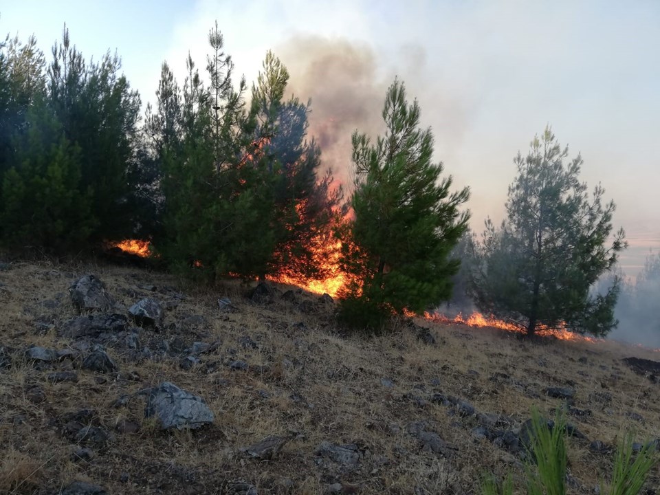 Gaziantep'te orman yangını  (10 hektar kül oldu) - 2