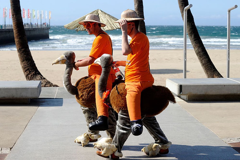 Которые не несут в. Несет телевизор по улице. Собака на метле. Сдувает ветром. Ответственность детей.