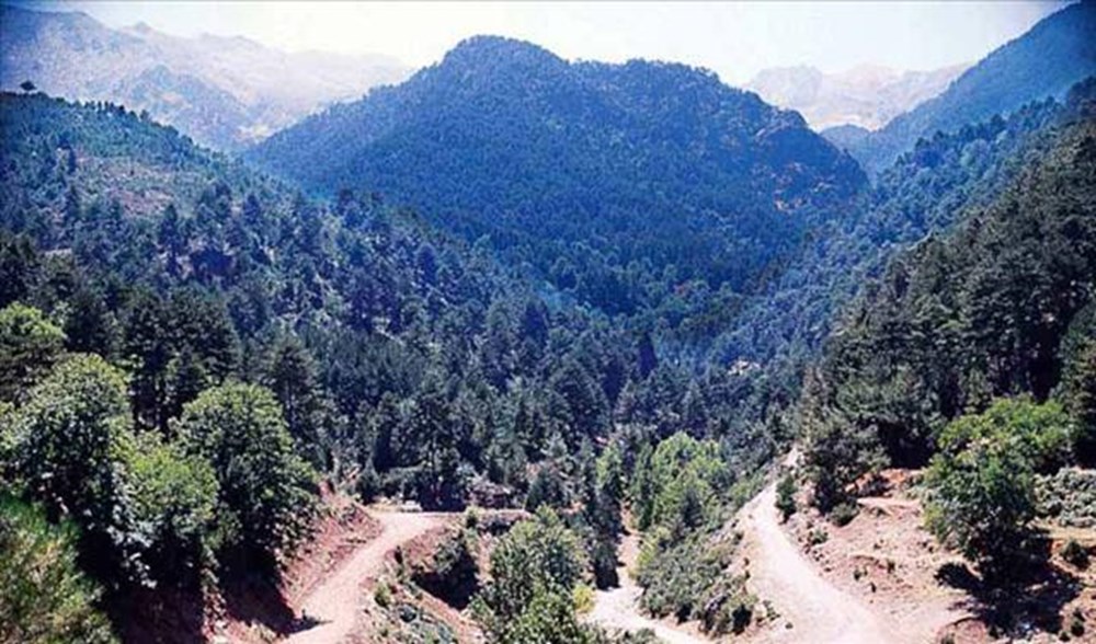 Türkiye'nin Milli Parkları (Türkiye'deki milli parkların listesi ve isimleri) - 63