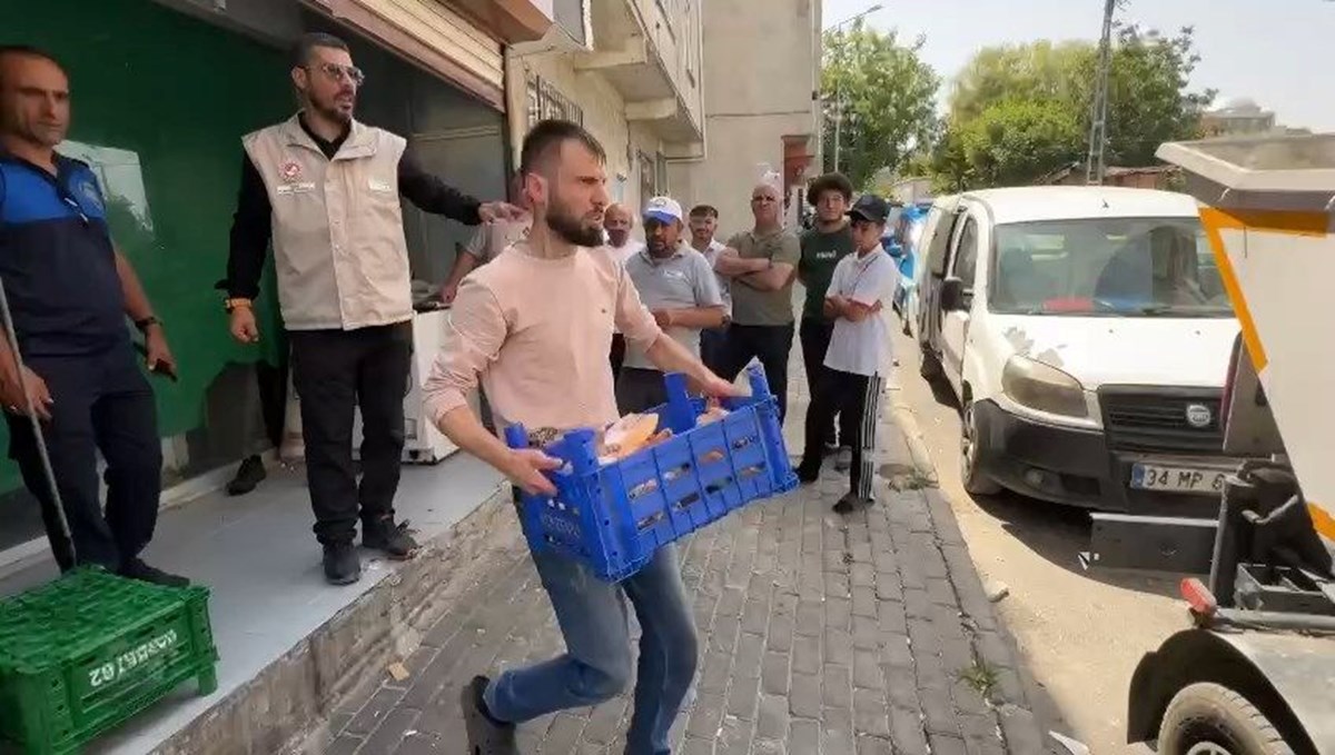 EY_EuqmUzk-xlQu1NCwZIA.jpg