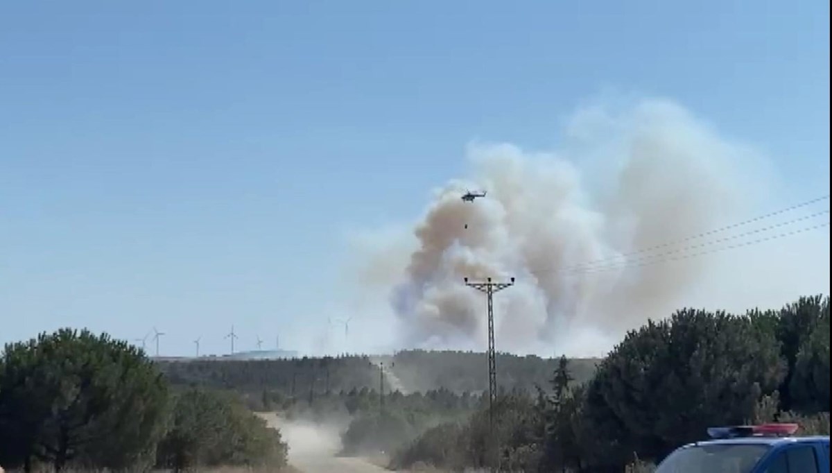 Silivri'de orman yangını