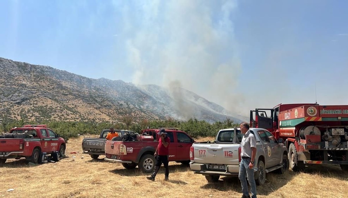 Diyarbakır'ın Hani ilçesinde orman yangını