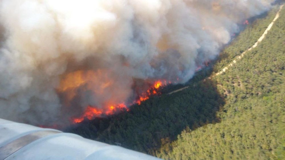 Gelibolu Yarımadası'nda orman yangını - 7