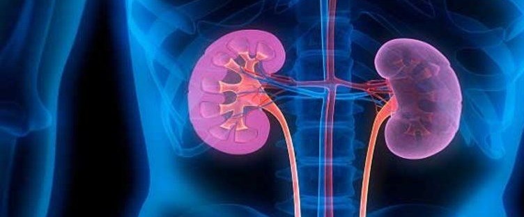 Eksi Duyuru Siz Olsaniz Ne Yapardiniz