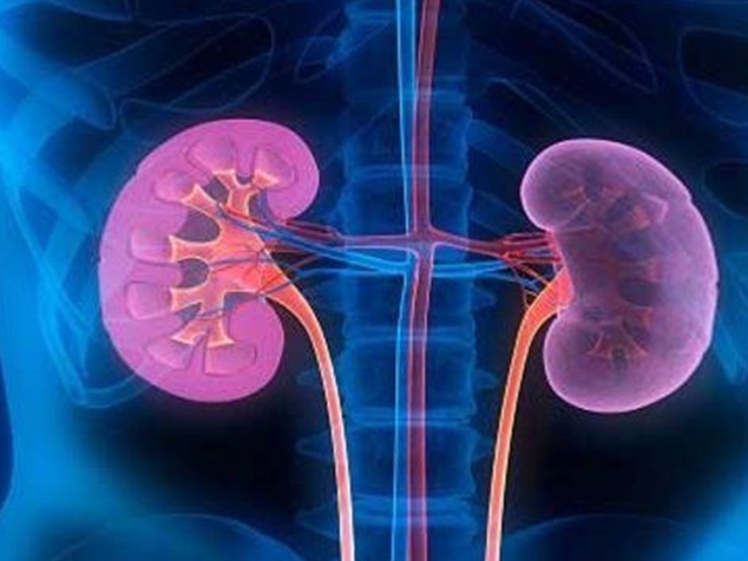 Idrarda Protein Kacagi Bobrek Yetmezligine Sebep Oluyor Saglik Haberleri Ntv