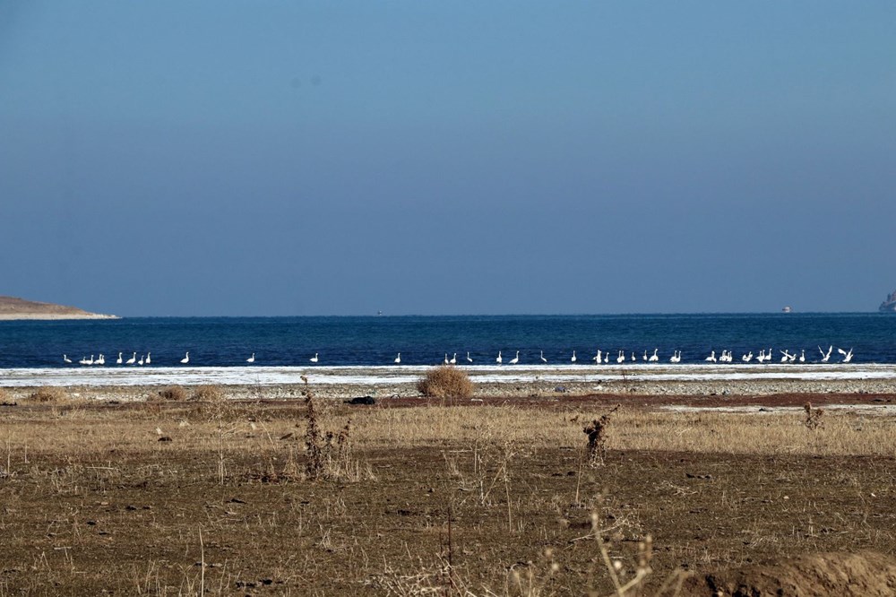 Jandarmanın kuğu nöbeti: Nesilleri tehlike altında - 9