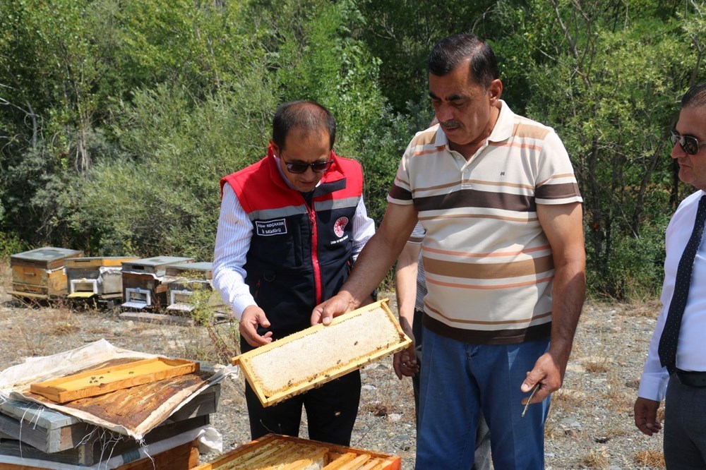 Erzincan'da üretilen geven balının hasadı başladı - 3