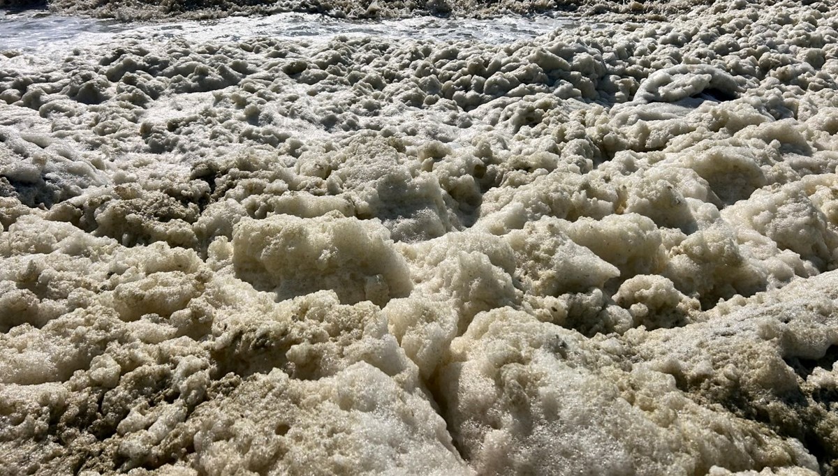 İskenderun Körfezi'nde tedirgin eden görüntü
