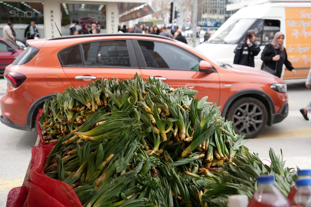 Doğanın Hazinesi: Şifa Dolu Bir Kaynak 75