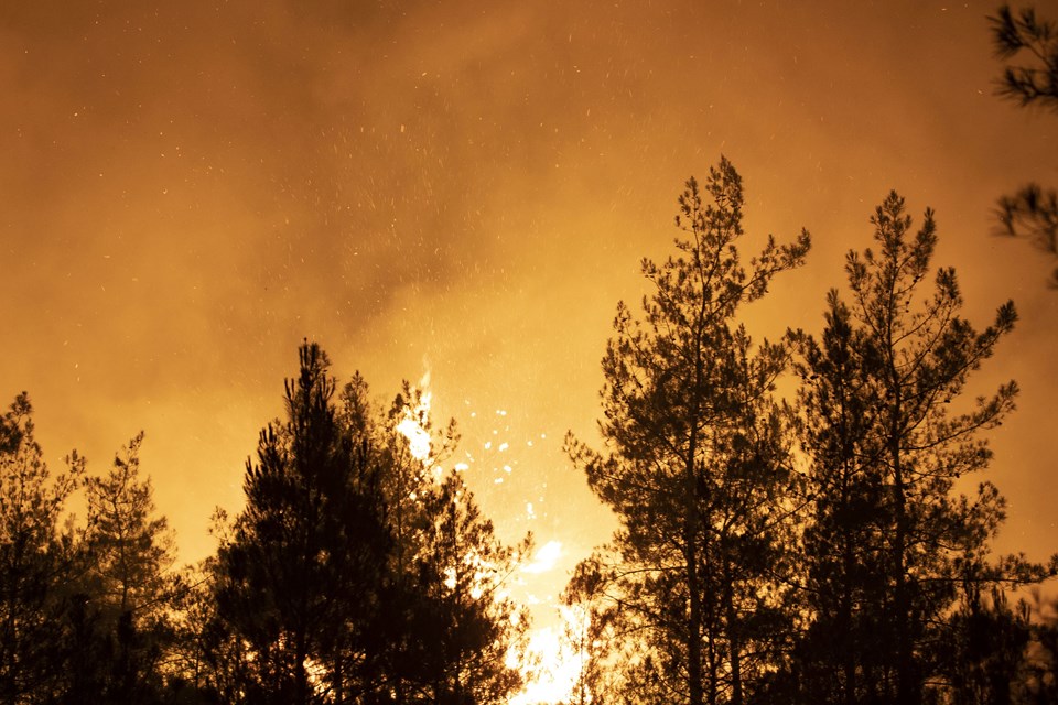 Marmaris'te orman yangını - 2
