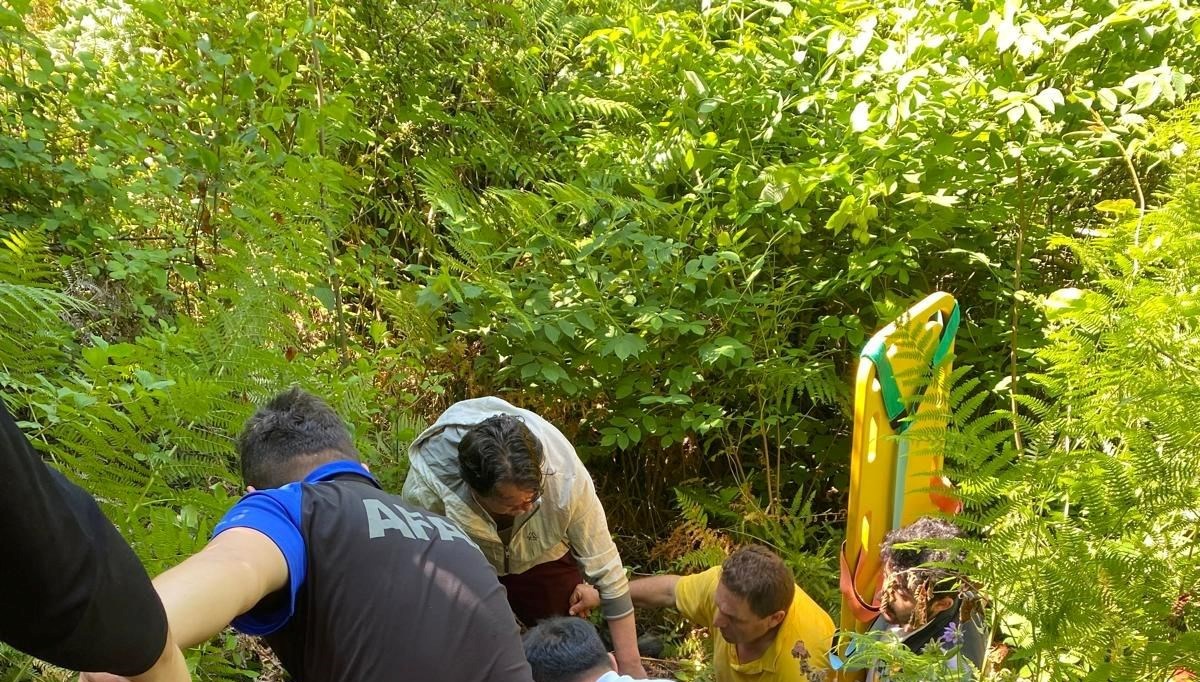 Arılardan kaçarken yamaçtan yuvarlanıp yaralandı Arılardan kaçarken yamaçtan yuvarlanıp yaralandı