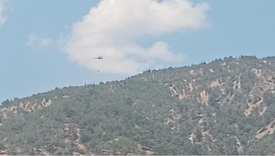 Aydın’da otomobilde çıkan yangın ormana sıçradı