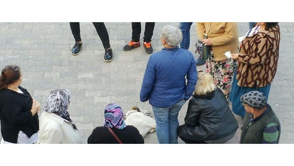 Hastane önünde bayılan köpek için seferber oldular
