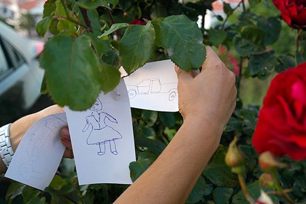 Hıdırellez ritüelleri: Hıdırellez dilekleri nasıl yazılmalı? Hıdırellez'de gül ağacına nasıl dilek dilenir? - Son Dakika Türkiye Haberleri | NTV Haber