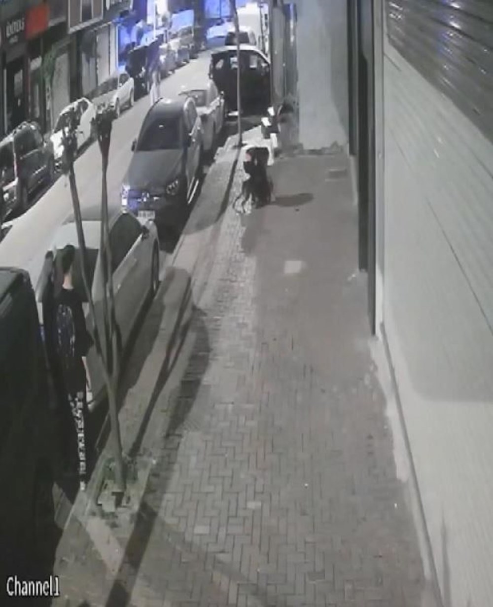 İstanbul'da pitbull dehşeti: Yavrularını emziren kediyi öldürdü - 9