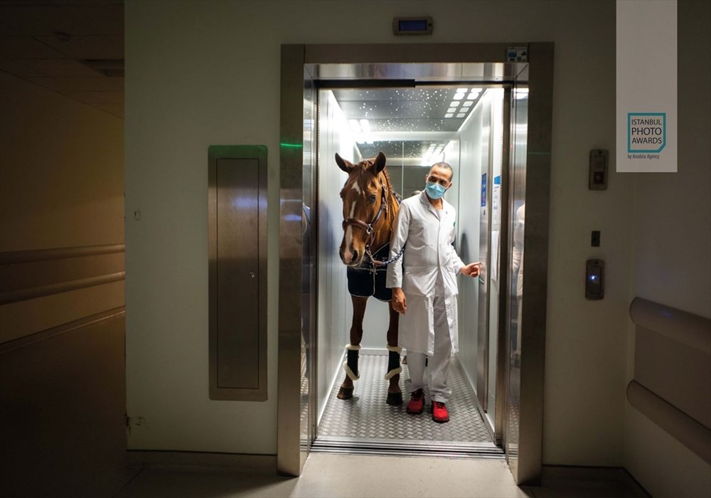 Istanbul Photo Awards 2021 kazananları açıklandı - 67