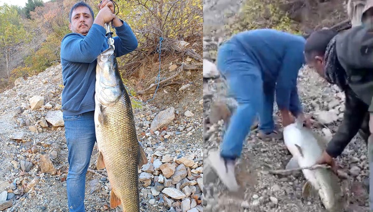 Oltaya 32 kiloluk turna balığı takıldı