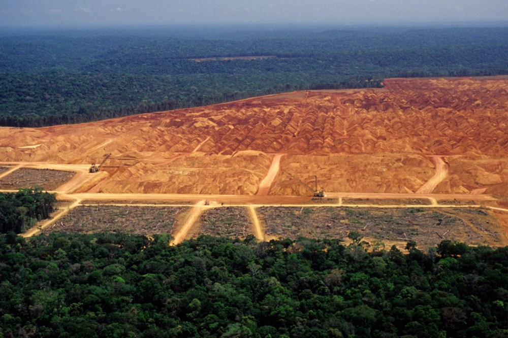 Amazon’daki ormansızlaşma bir yılda yüzde 25 arttı - 1