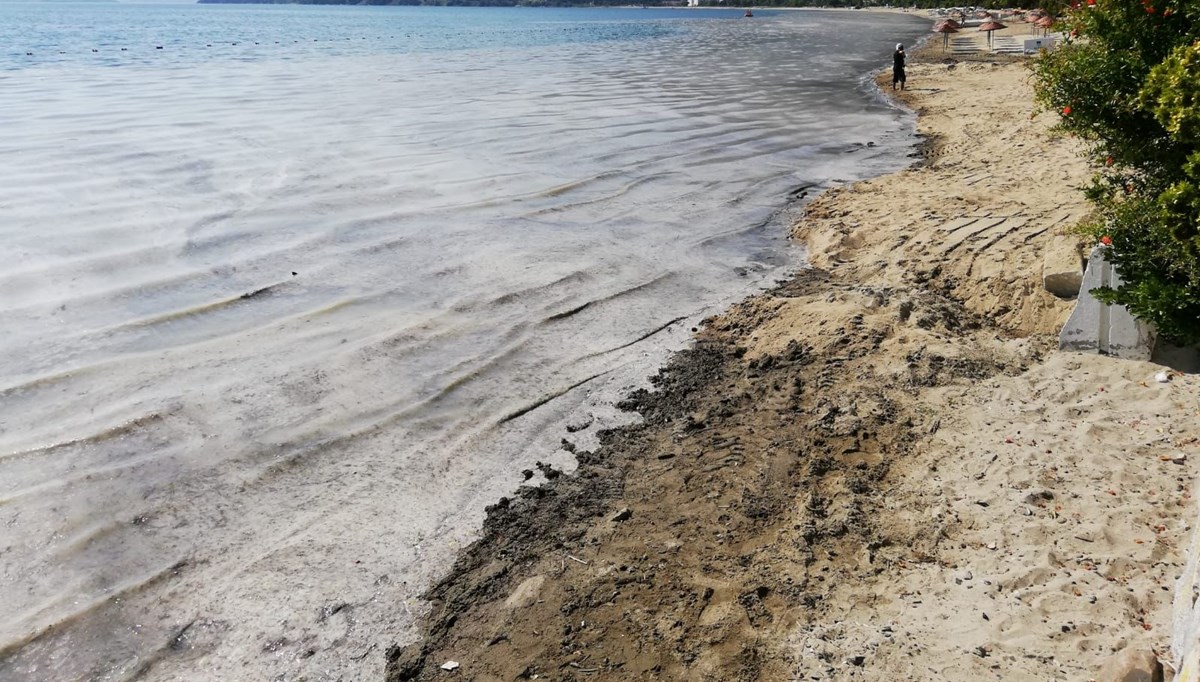 Müsilajla mücadelede 268 işletmenin faaliyeti durduruldu