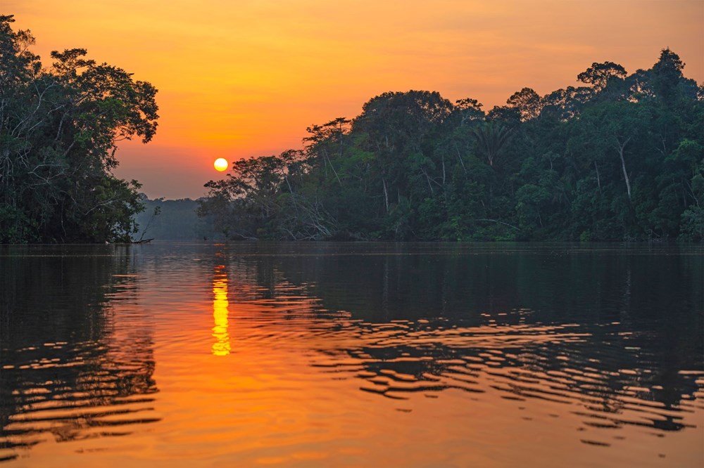 Amazon’daki ormansızlaşma bir yılda yüzde 25 arttı - 7