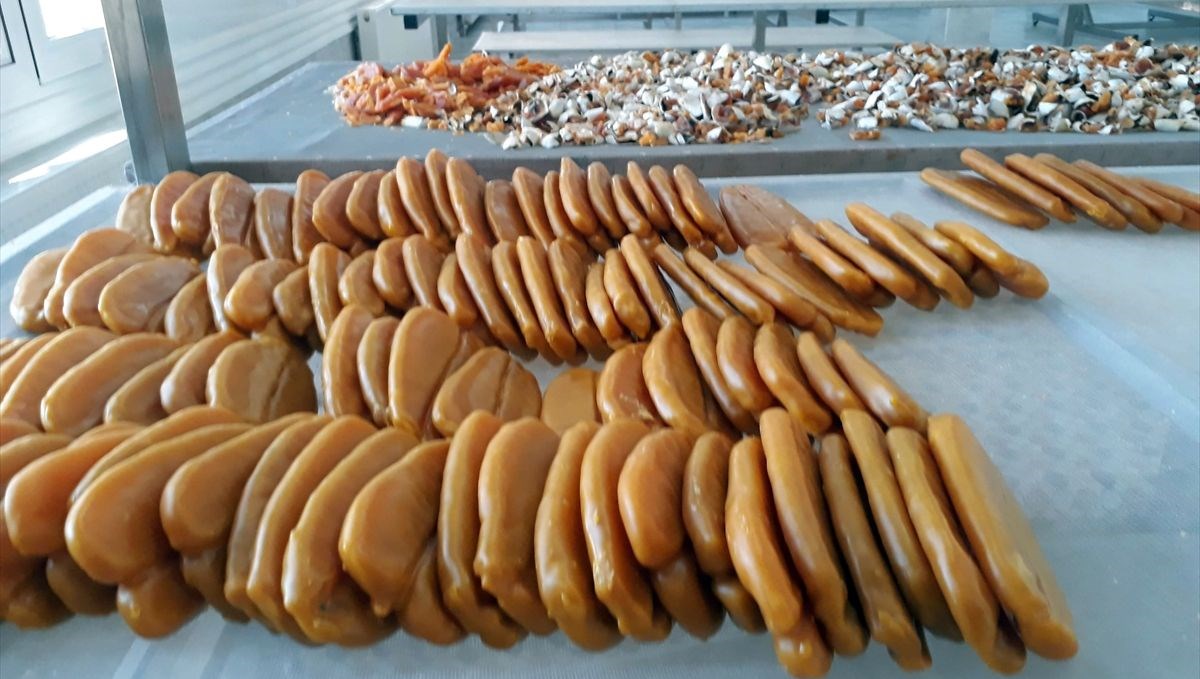 Muğla'nın deniz ürünlerine Avrupa ve ABD'den yoğun talep