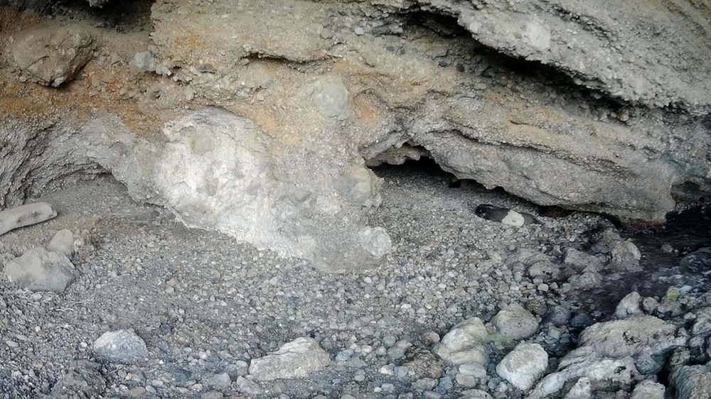 Hayalet Avı: Körfez'de Nesli Tehlikedeki Jenerasyon Fotokapana Yakalandı 74 ErC9JJDic06T5QBvhph7Hw