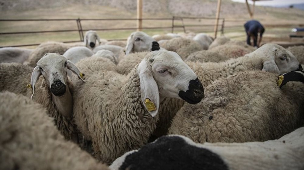 Maaşlar bayramdan evvel yatacak mı? Memur ve emekli maaşları Kurban Bayramı'ndan sonra mı yatacak? 2025 Haziran ayı memur ve emekli maaşı ödeme günleri 74