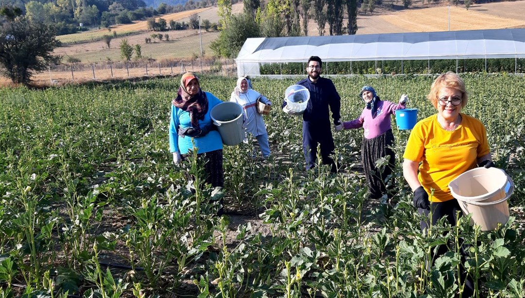 Pazarda 180, kendin toplarsan 80 lira! Sabah saatlerinde akın ettiler