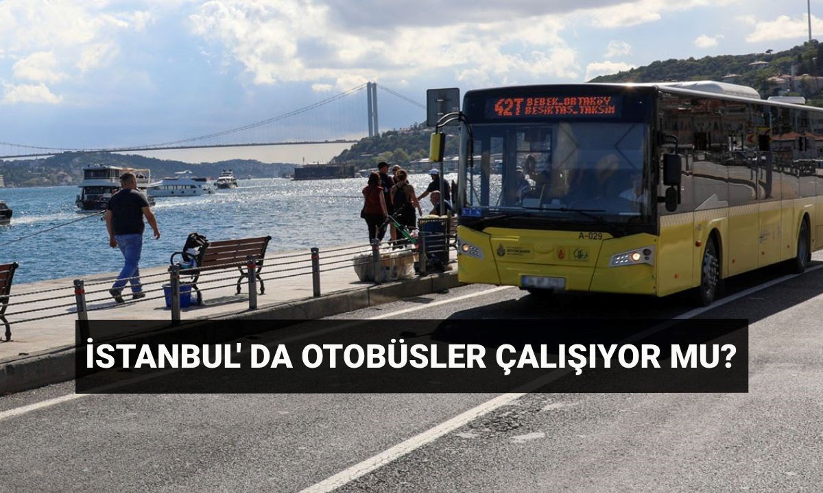 EsTGgBKVAU21Gp877frskg.jpg
