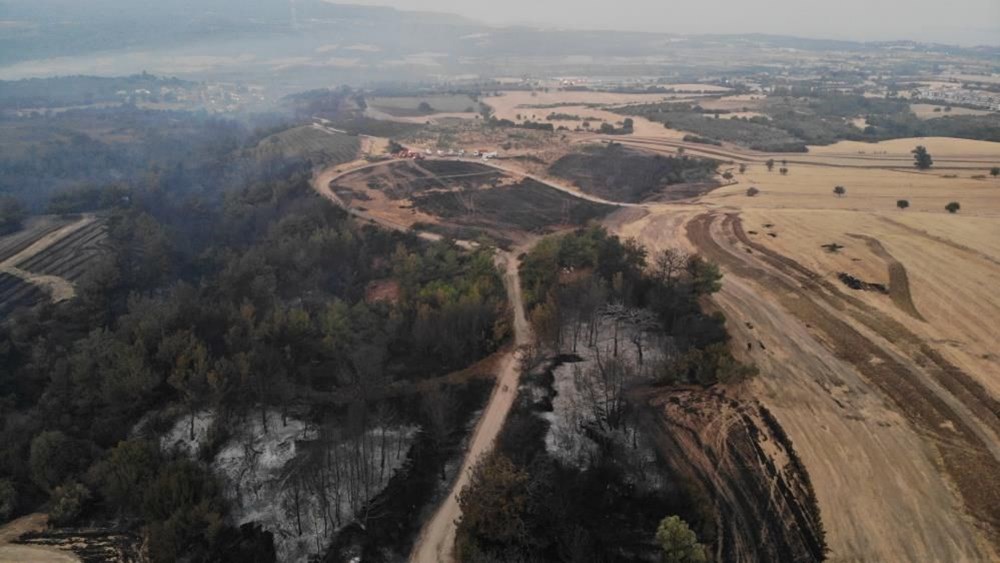 Çanakkale'deki orman yangınında yanan alanlar havadan görüntülendi - 7