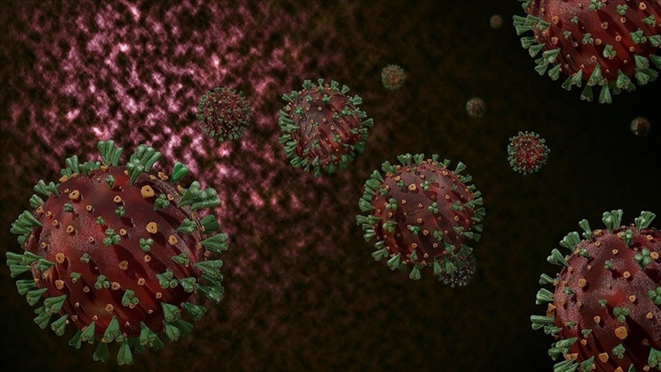 H1N1 virüsü nedir, nasıl bulaşır? H1N1 (domuz gribi) belirtileri neler, ölümcül mü? - 1