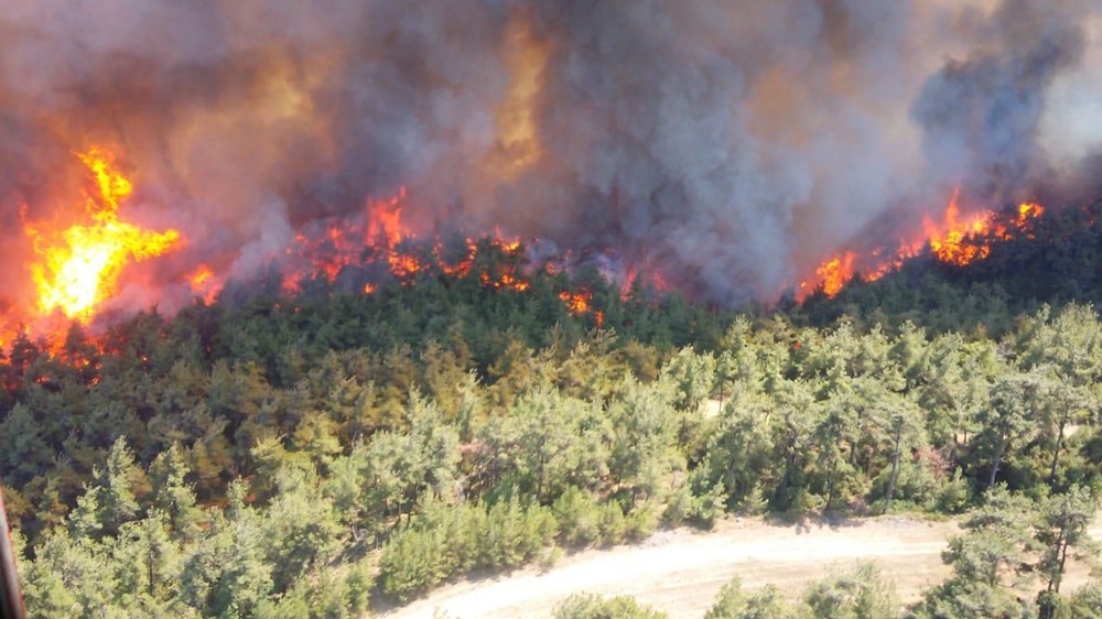 Gelibolu Yarımadası'nda orman yangını - 16