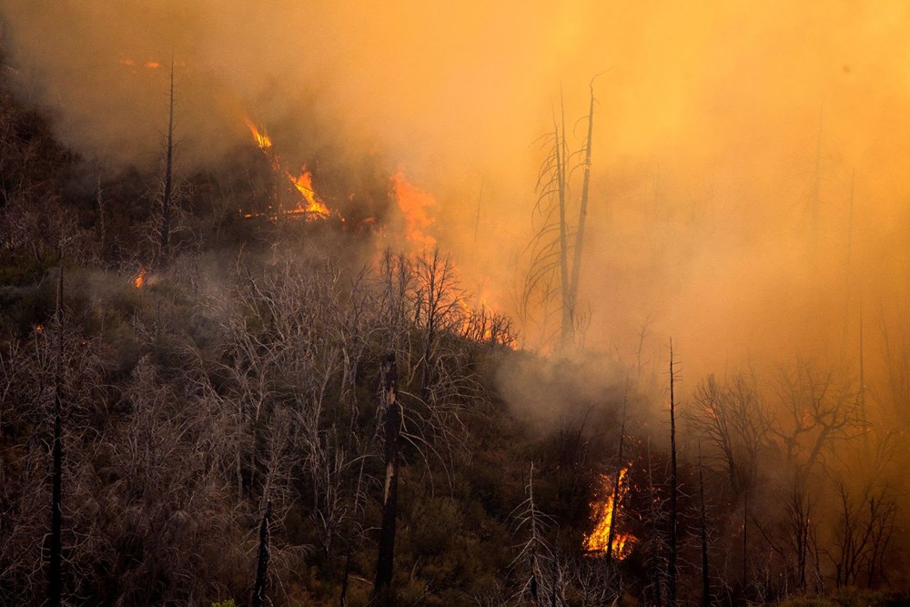 California'daki yangınlarda rekor - 8