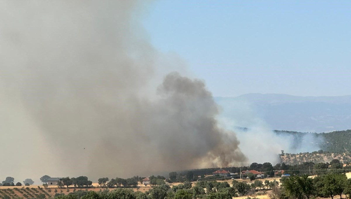 Uşak’ta meşelik alanda yangın çıktı