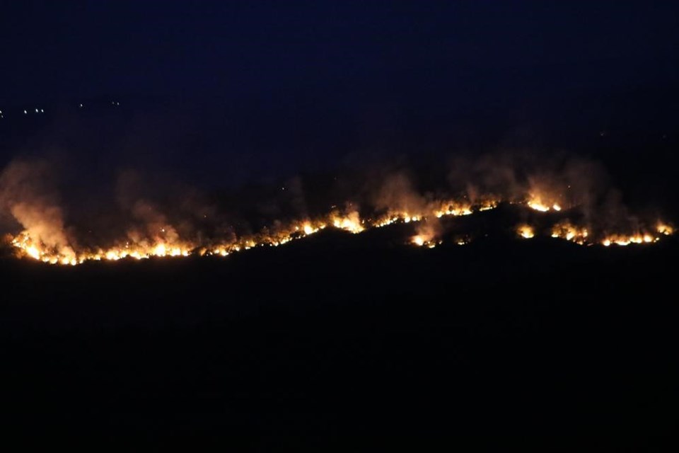 Bulgaristan'da orman yangını: Edirne'nin sınır köylerine dayandı - 1