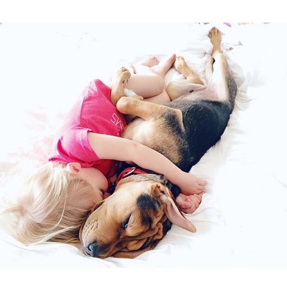 К чему снится щенки маленькие женщине замужней. Сон с собакой в обнимку. Девочка в обнимку с собакой. Собаки спят в обнимку.
